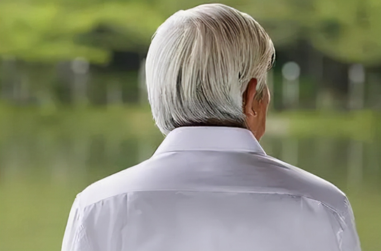 年轻人白头发缺少哪种营养,白头发越来越多是缺少什么营养吗