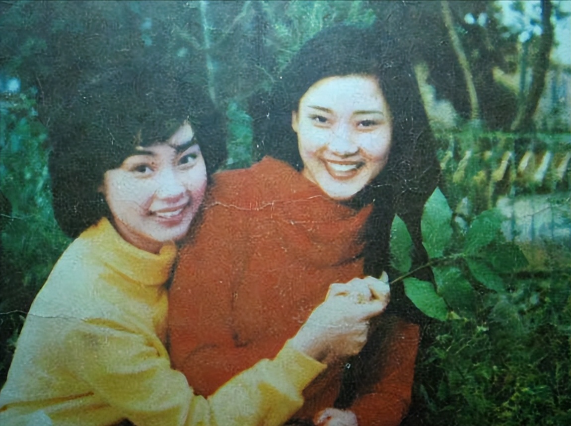 何赛飞高龄产子,丁克何赛飞