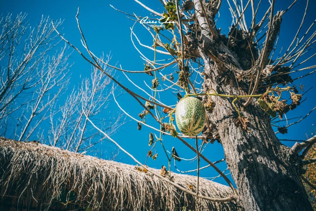 丽江悦榕庄酒店用餐,云南丽江悦榕庄酒店价格