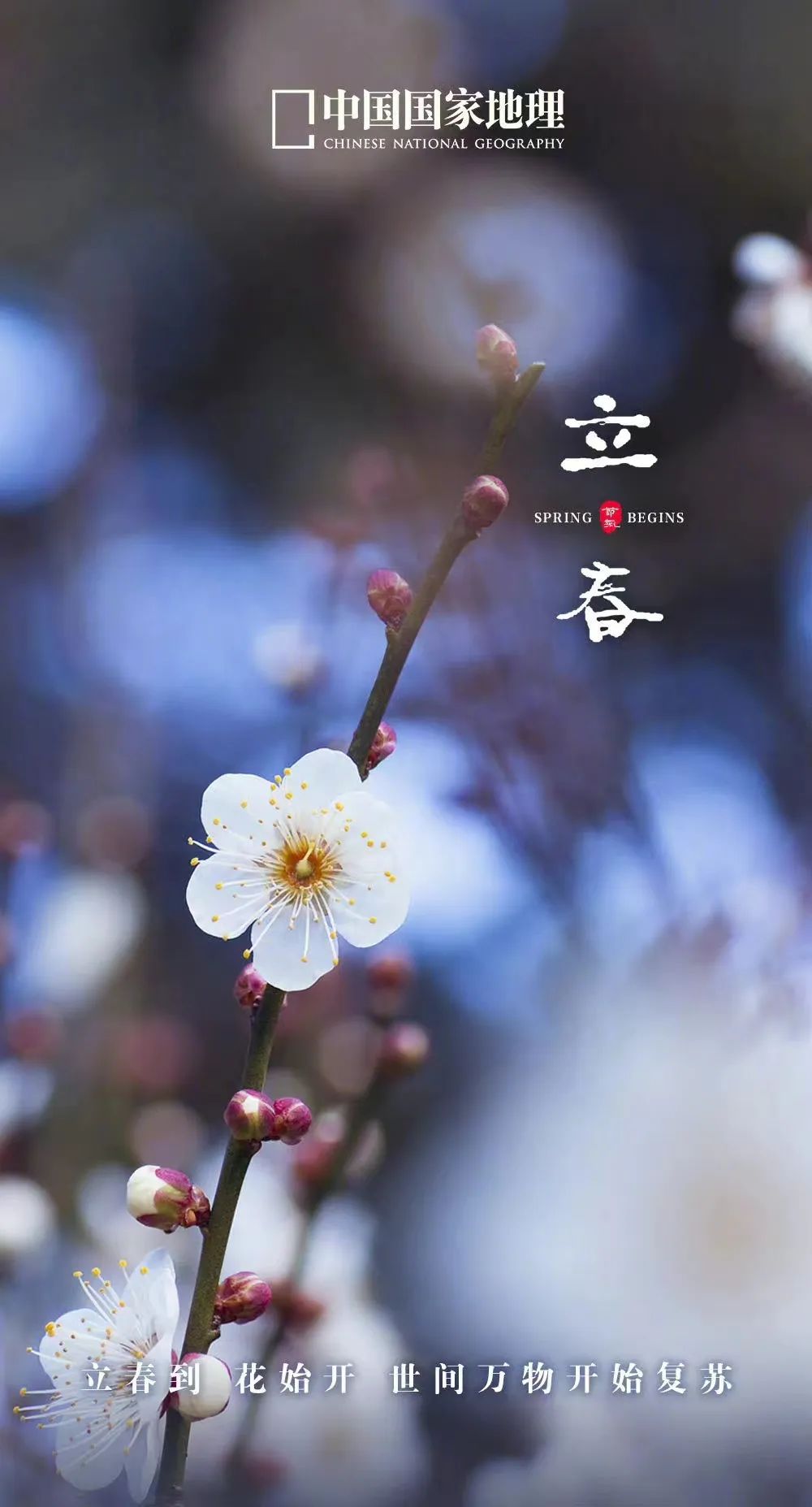 一年中最有智慧的节气图片,365天最美24节气图诞生惊艳国人