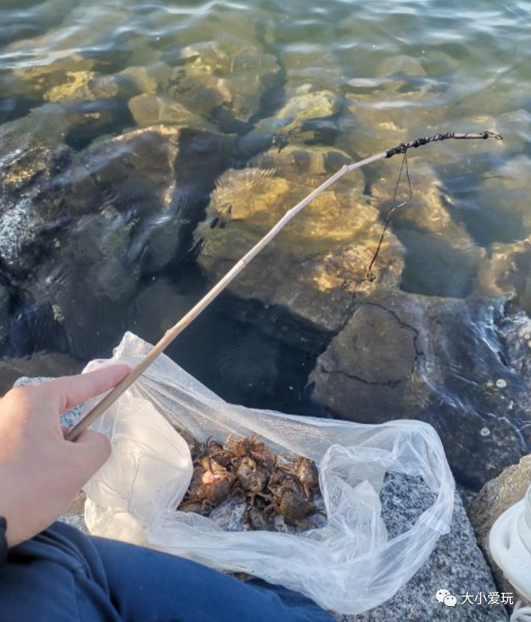 带娃赶海地点推荐去哪里,带孩子海边赶海3日游攻略