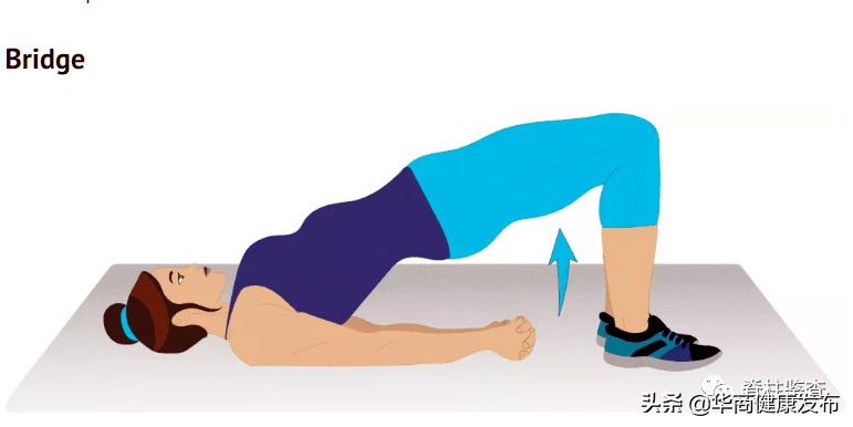 如何锻炼腰部力量改善腰痛问题,如何锻炼腰部力量改善腰痛图