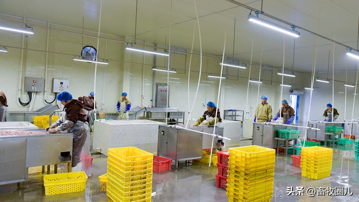 圣农集团千亿产业集群,圣农集团的党建学习