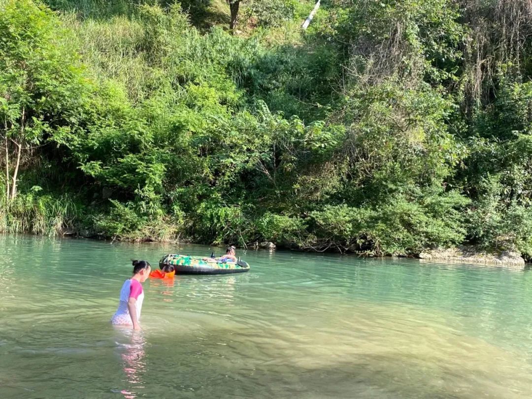 南川区金佛山旅游攻略,南川金佛山一日自驾游攻略