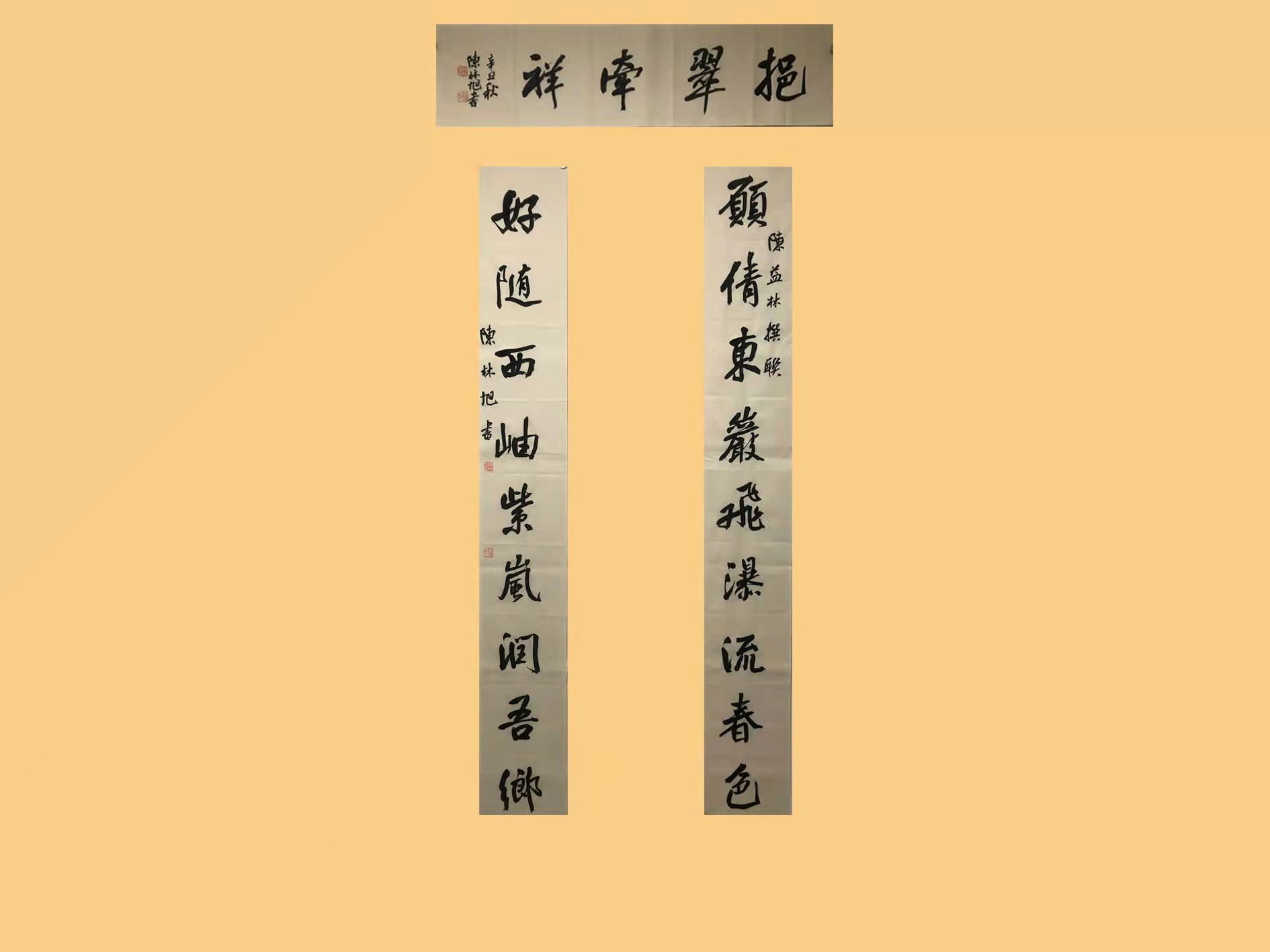 东阳中学许锡强陈益林,陈益林的文言文