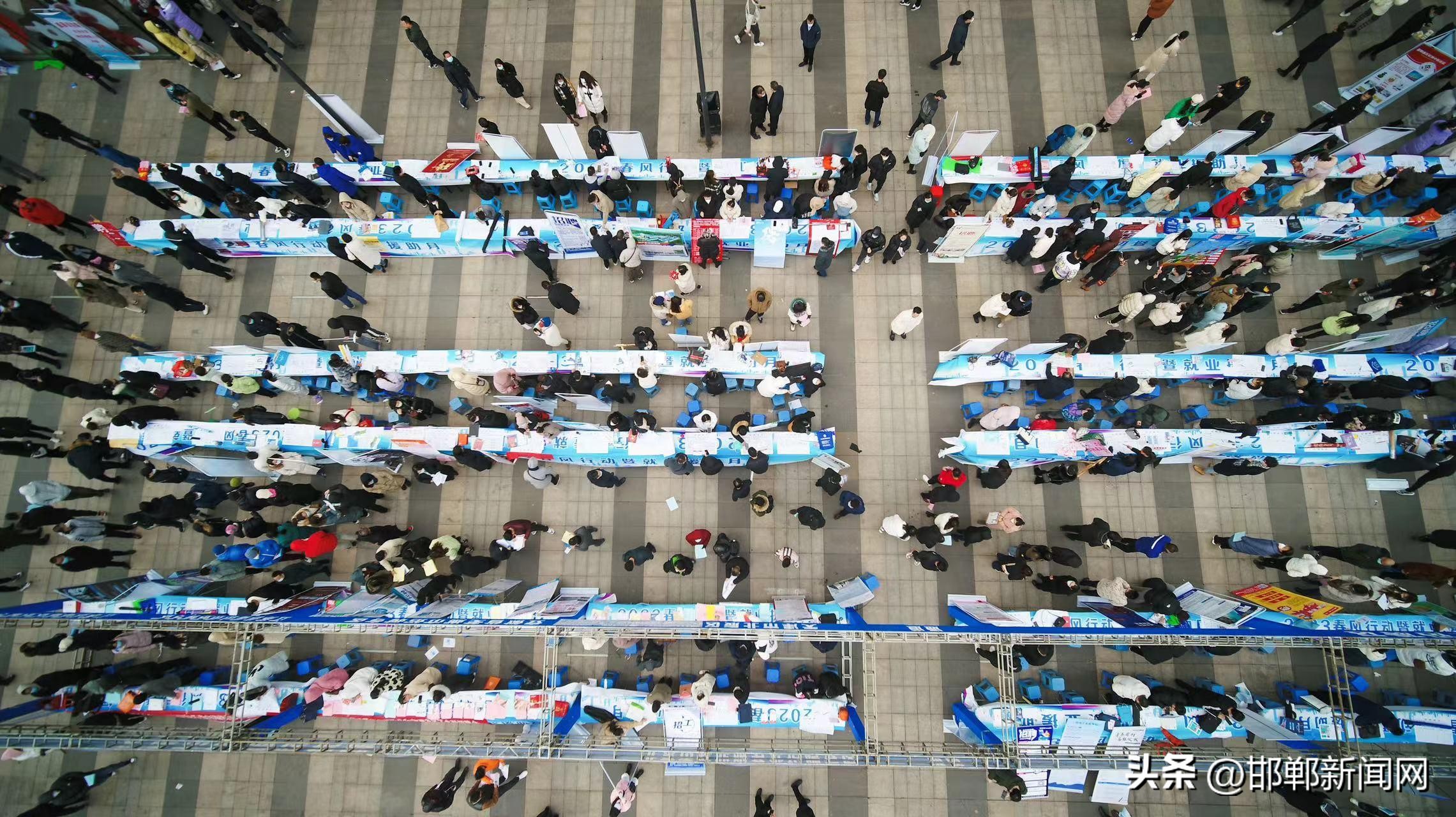 “政府+市场+资金”织牢公共就业创业服务网