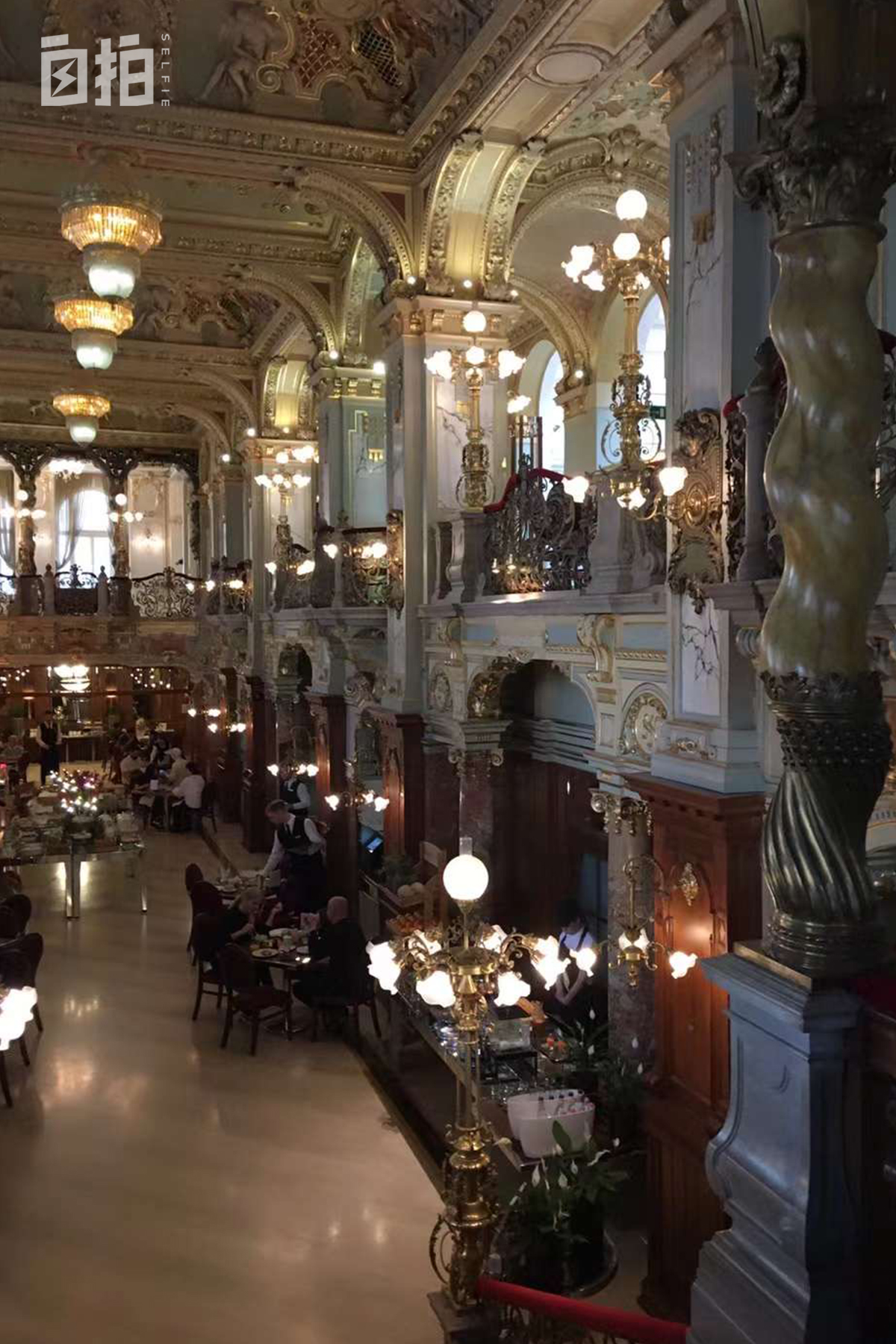 我，劳碌一生，50岁后追寻自由，打工旅游7年，尝试跳伞冲浪