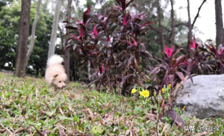 养老型储蓄存款有户籍限制吗,合肥特定养老储蓄现在能存吗