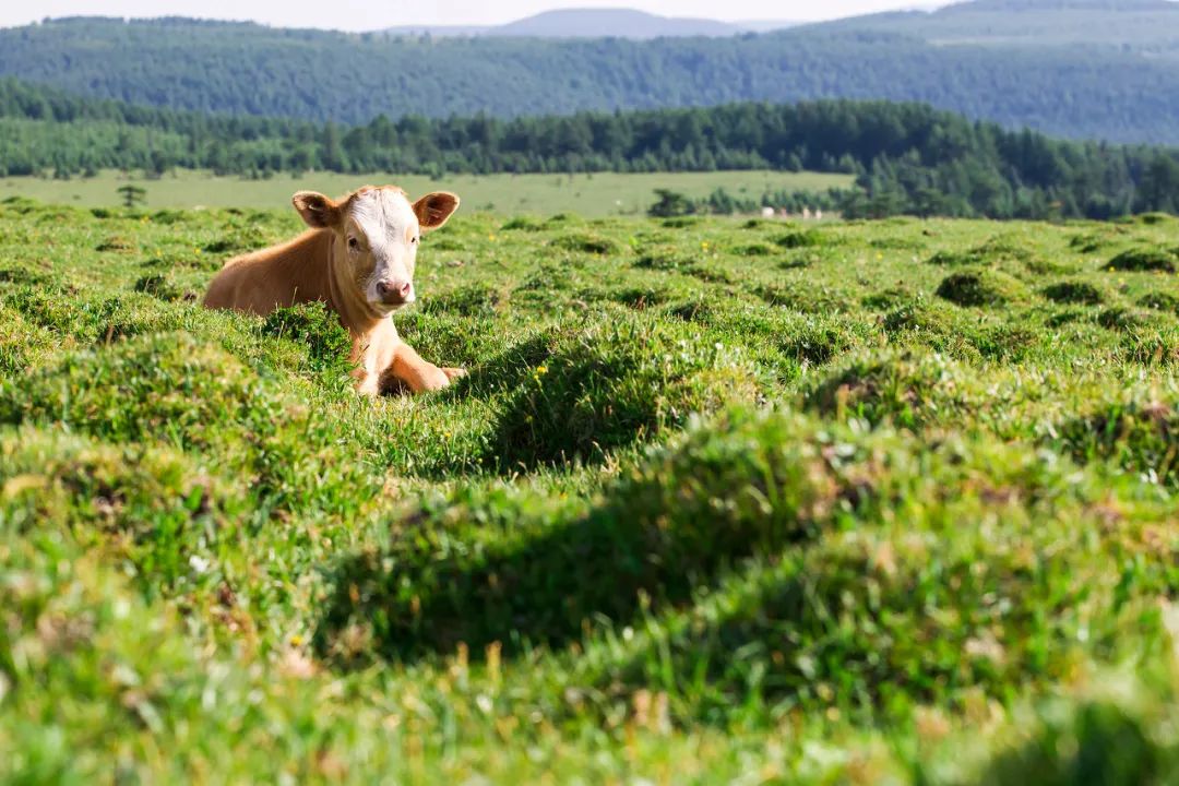 60岁之前必去的34省区最美天堂,最真实最美的旅游地方