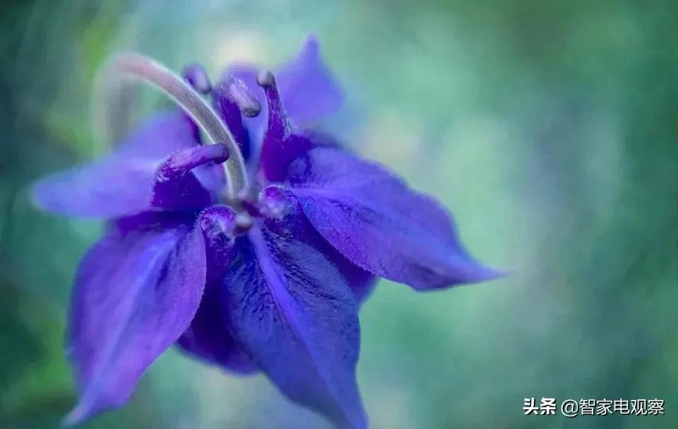 格力双休普通员工工资有影响吗,格力电器宣布实行双休工作制