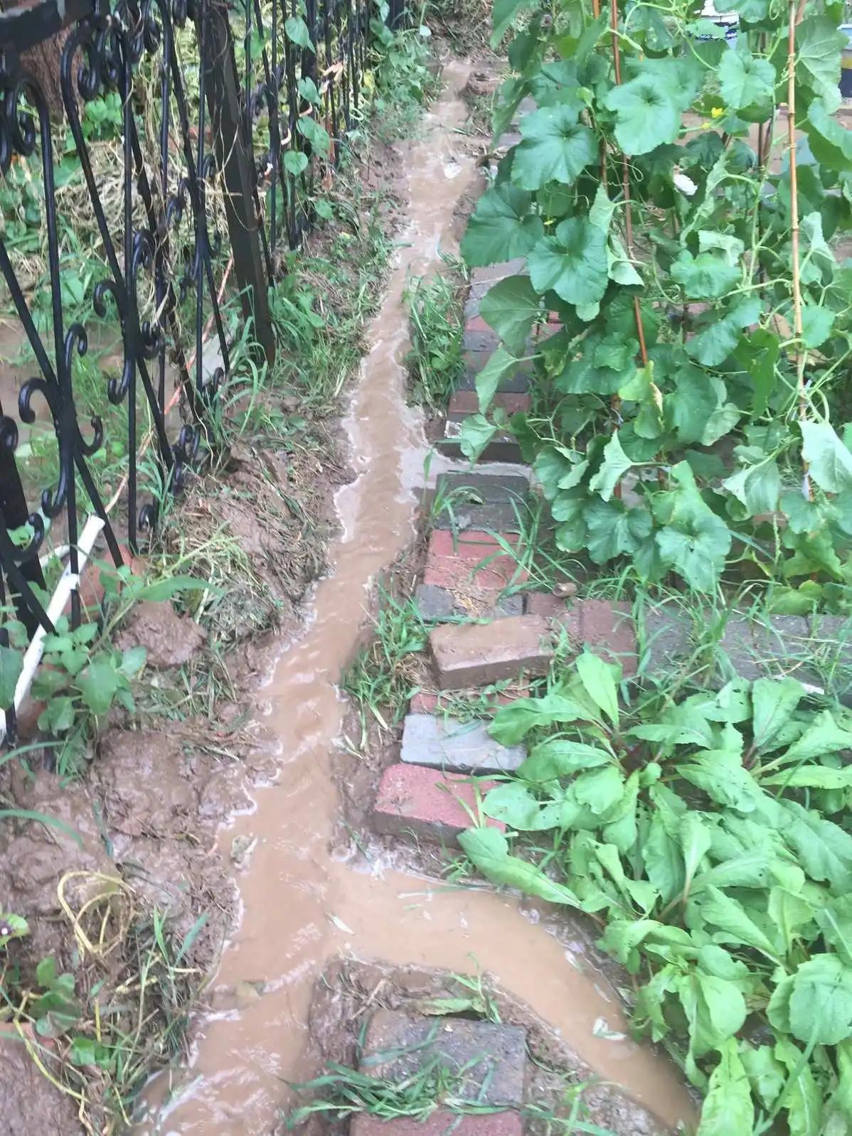 露天菜地被水淹过的蔬菜怎么挽救,雨水淹了蔬菜怎么办
