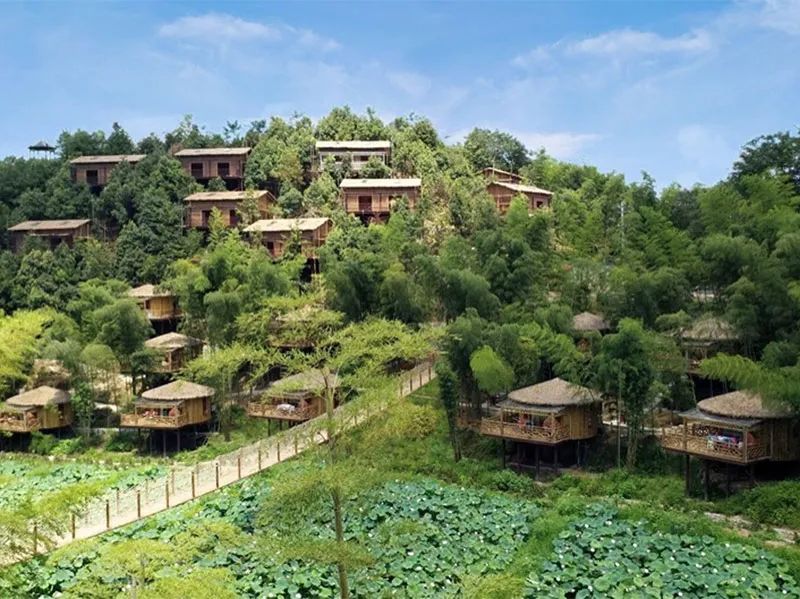 82家店，全军覆没！瑜伽老大，倒在胜利前夜