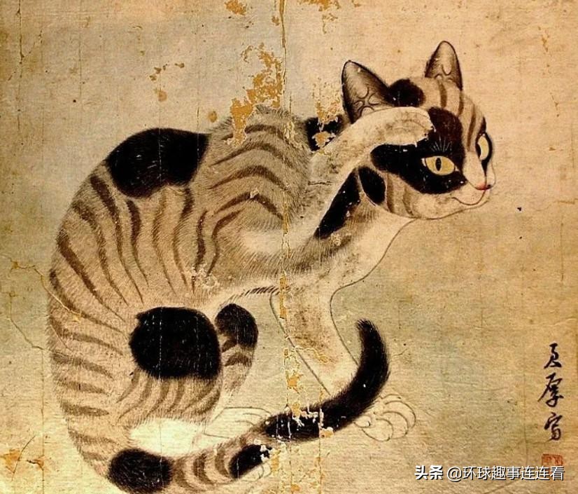 50张惊艳世界的图片,100张颠覆三观图片