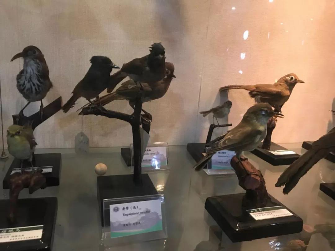 科技体验研学,科技研学课