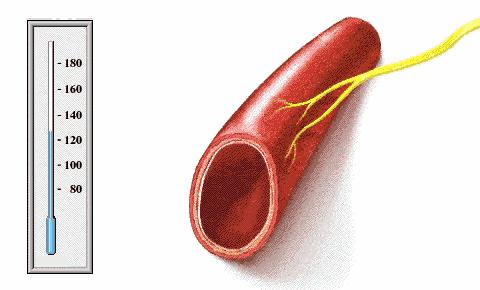 24岁得恶性高血压,24岁有高血压是怎么回事