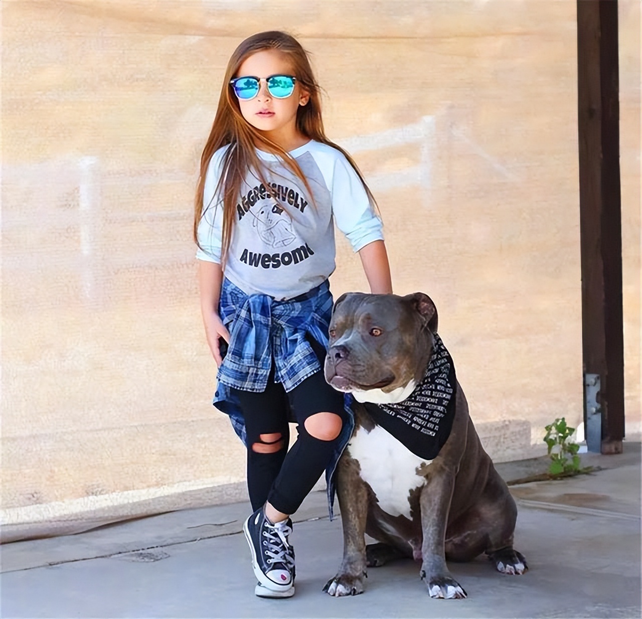 家里有小孩的适合养什么品种狗狗,最适合有小孩家庭养的狗狗