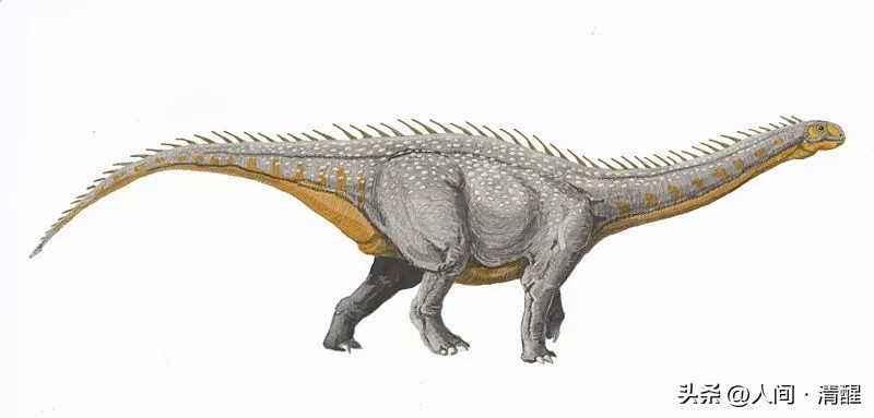 蜥脚类恐龙长什么样子,各种蜥脚类恐龙大小比较