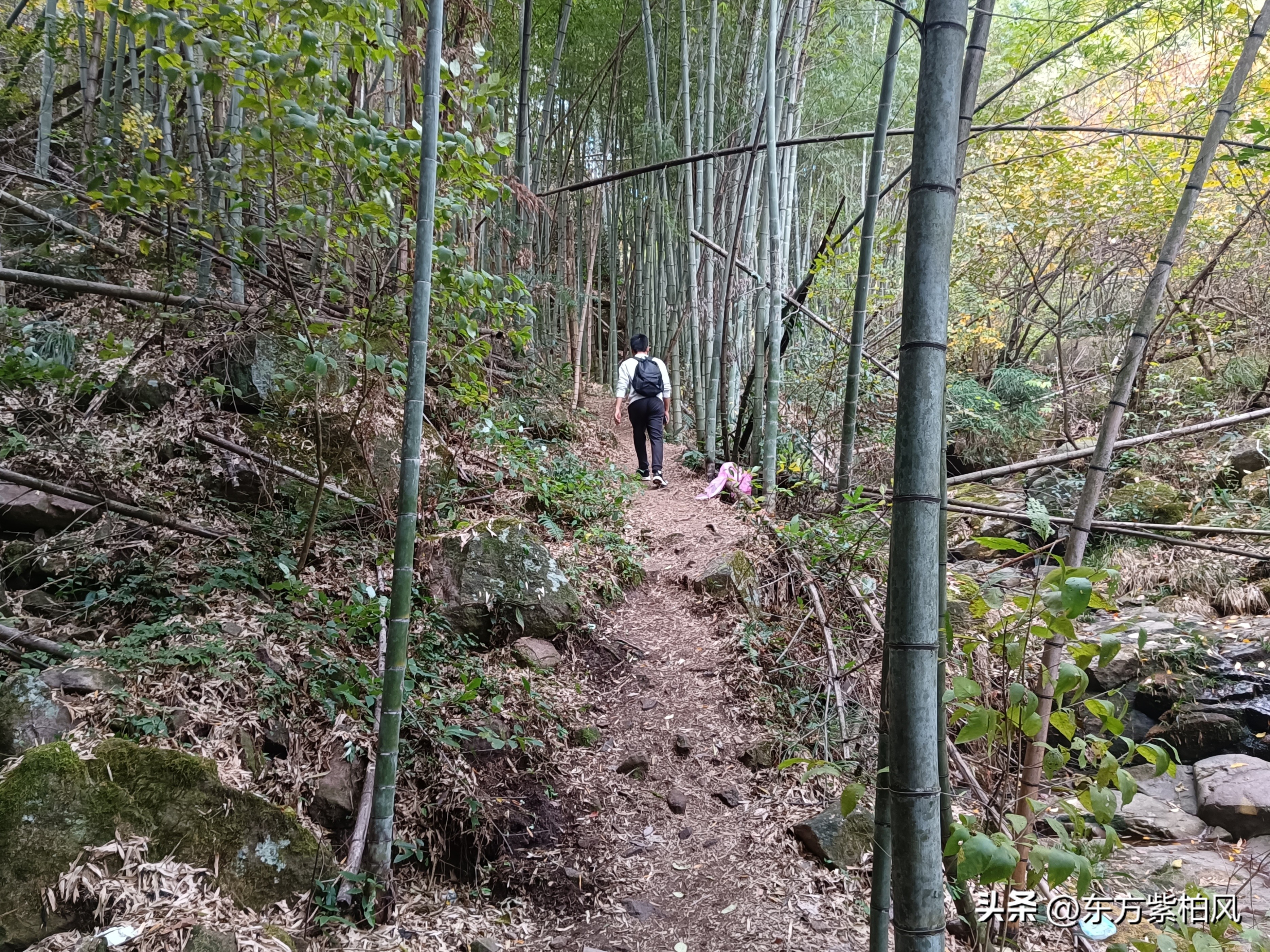 义乌大寒尖春季旅游,义乌大寒尖旅游饮食