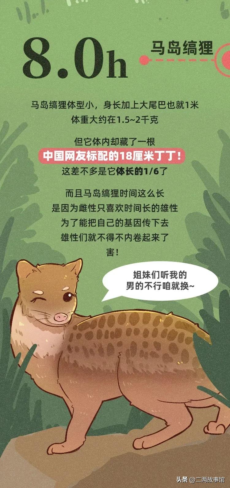 婕敾绻佹畺,婕敾绻佽