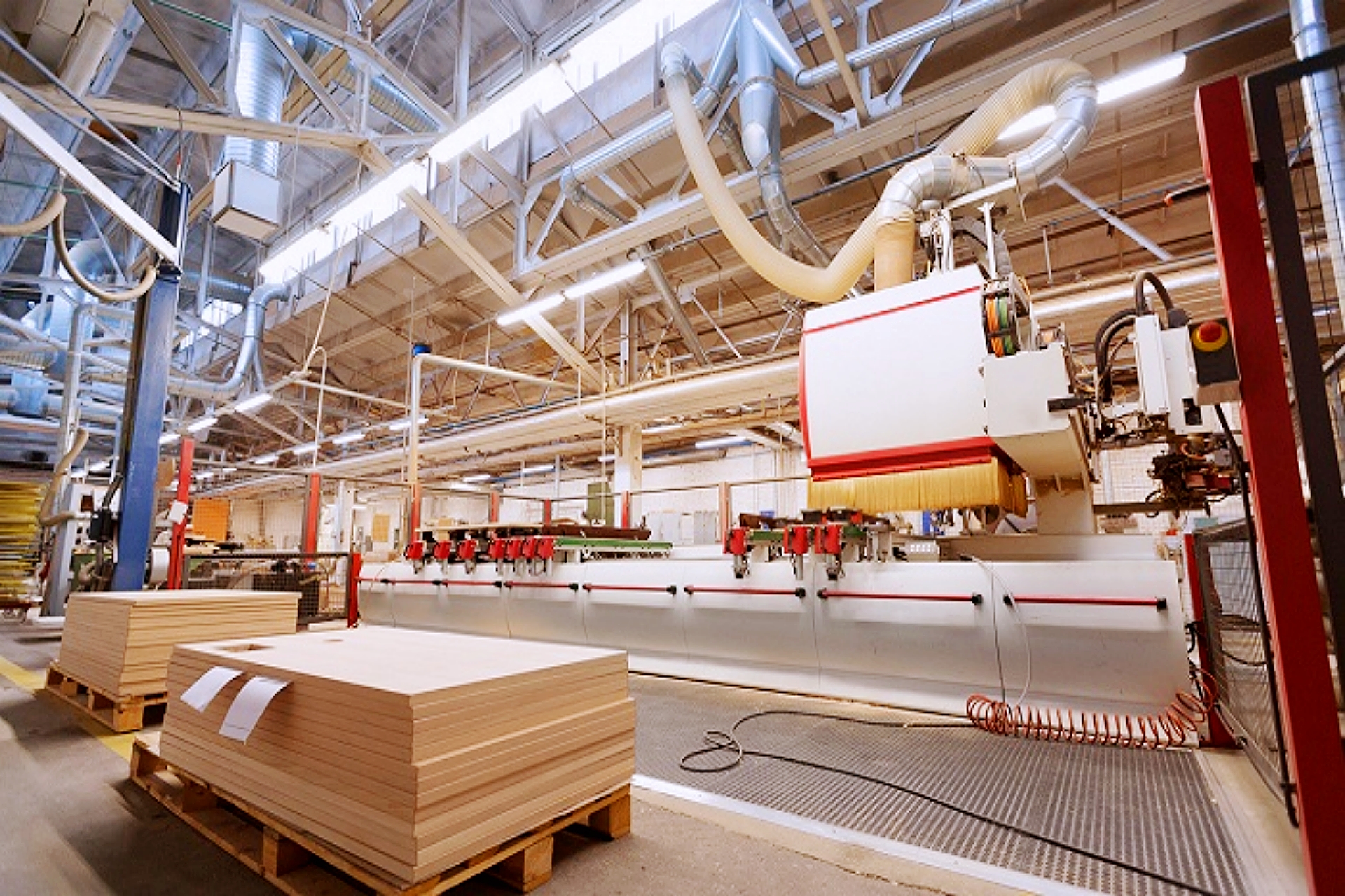 广西桉木加工的高端化之急