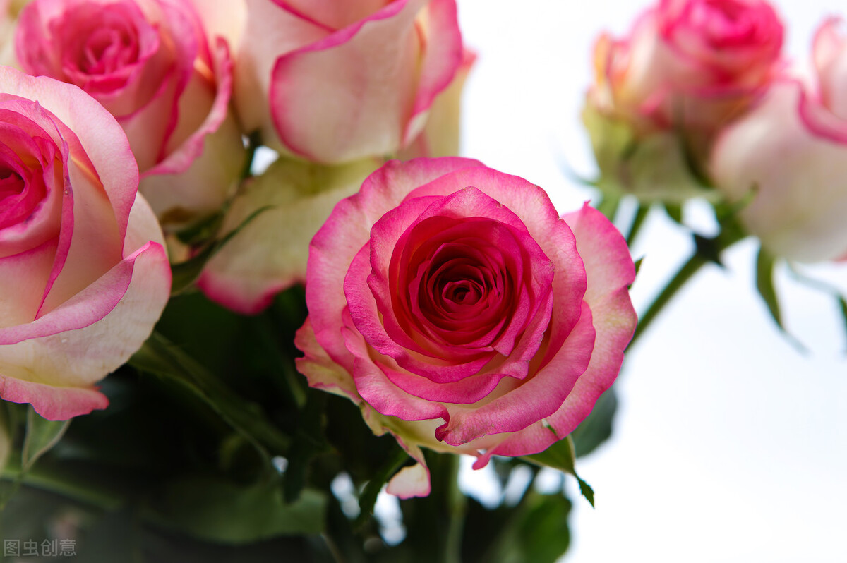 被催婚结婚后悔了,被催婚是常态晚婚已是定局