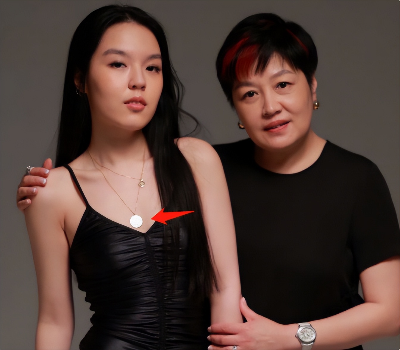 哈文为什么让赵本山上央视舞台,哈文和赵本山一段不为人知的故事