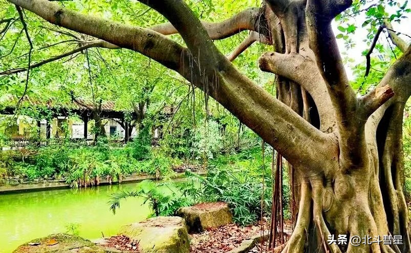 东莞必去十大免费景点,东莞十大必去景点