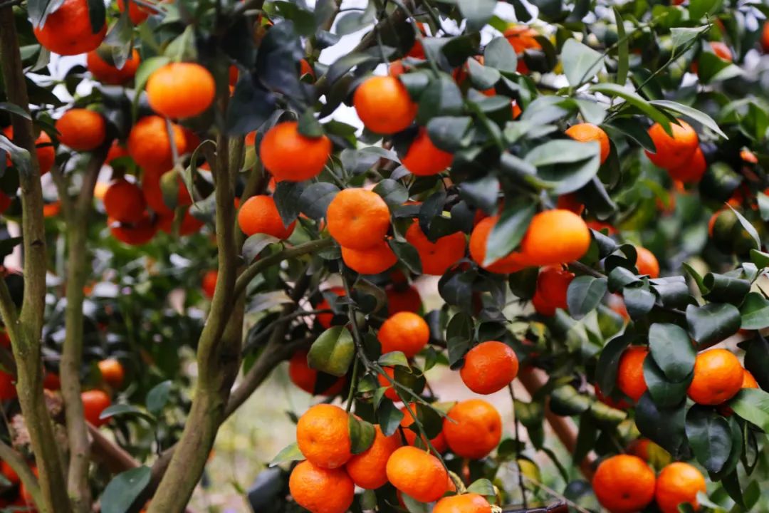 行业不景气怎么办,行业不景气如何创业