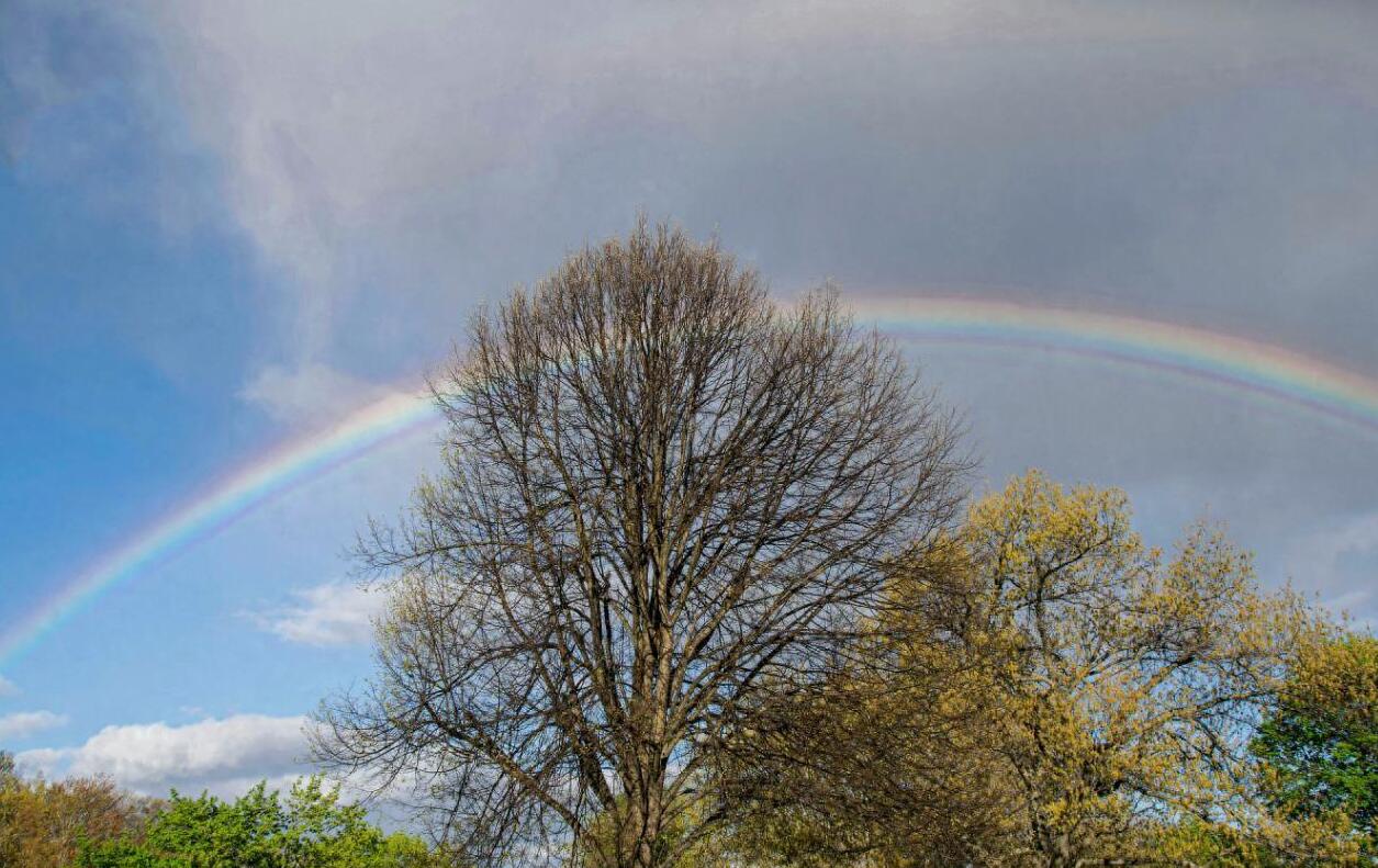 退休了不想与任何人打交道正常吗,退休了不想再去挣钱了
