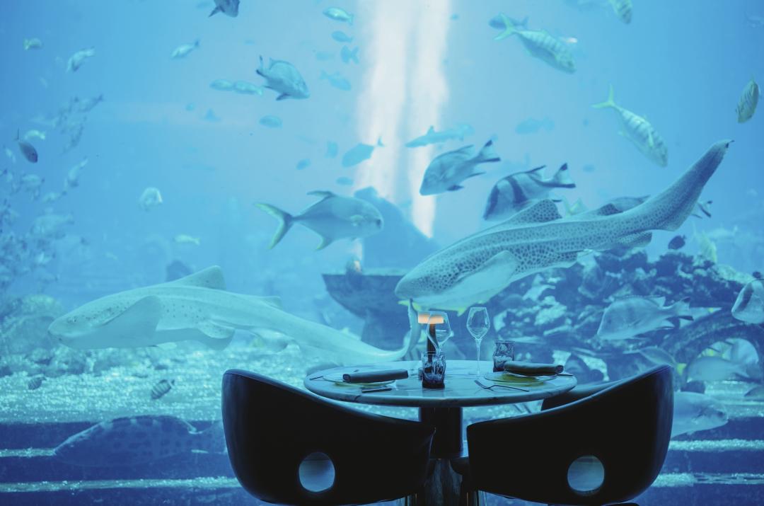 回族去三亚旅游攻略,三亚酒店推荐最全攻略