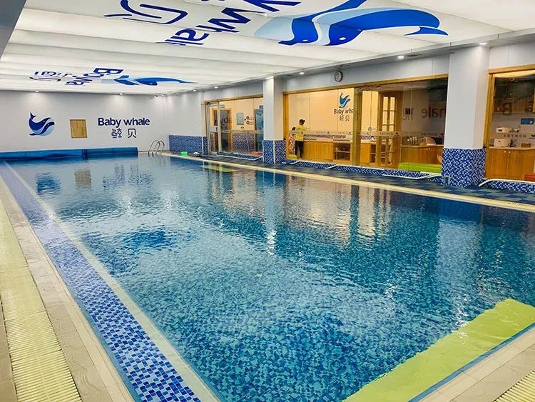 鲸贝亲子游泳,鲸贝贝亲子游泳俱乐部