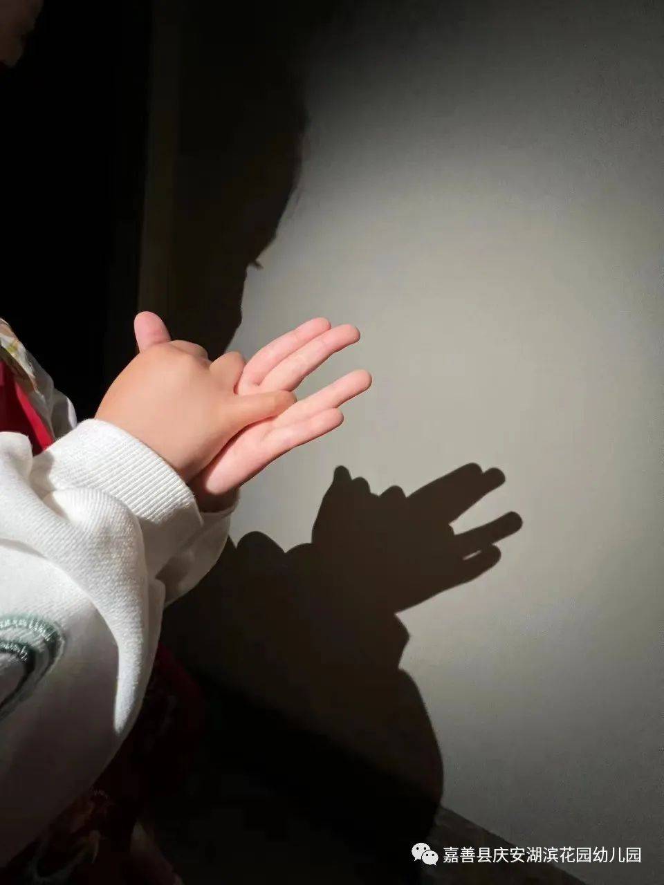 小手的探秘之旅|嘉善县庆安湖滨花园幼儿园小班组课程故事