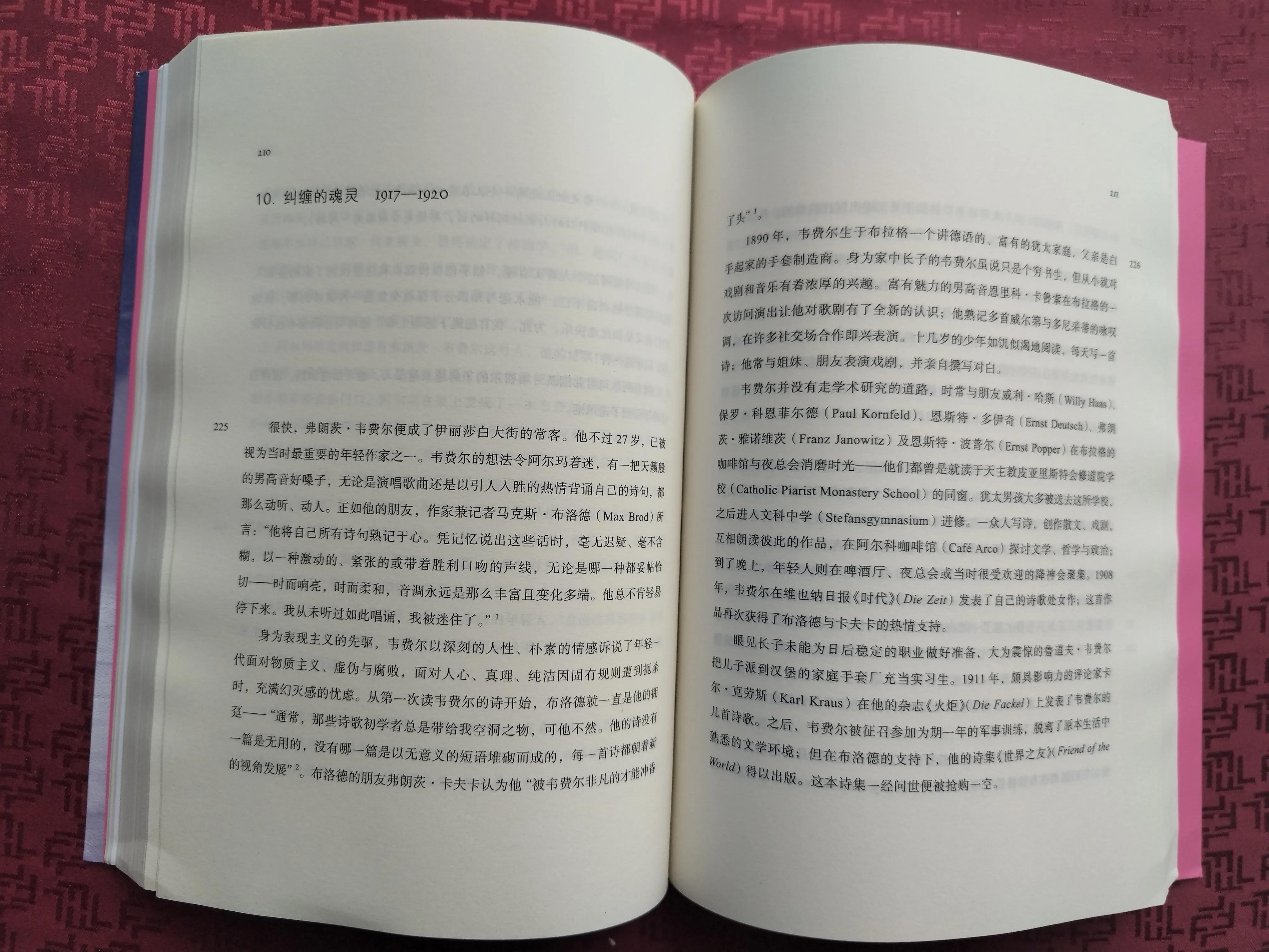 阿尔玛.马勒的一生：一个被历史遗忘的女性音乐家的传奇故事