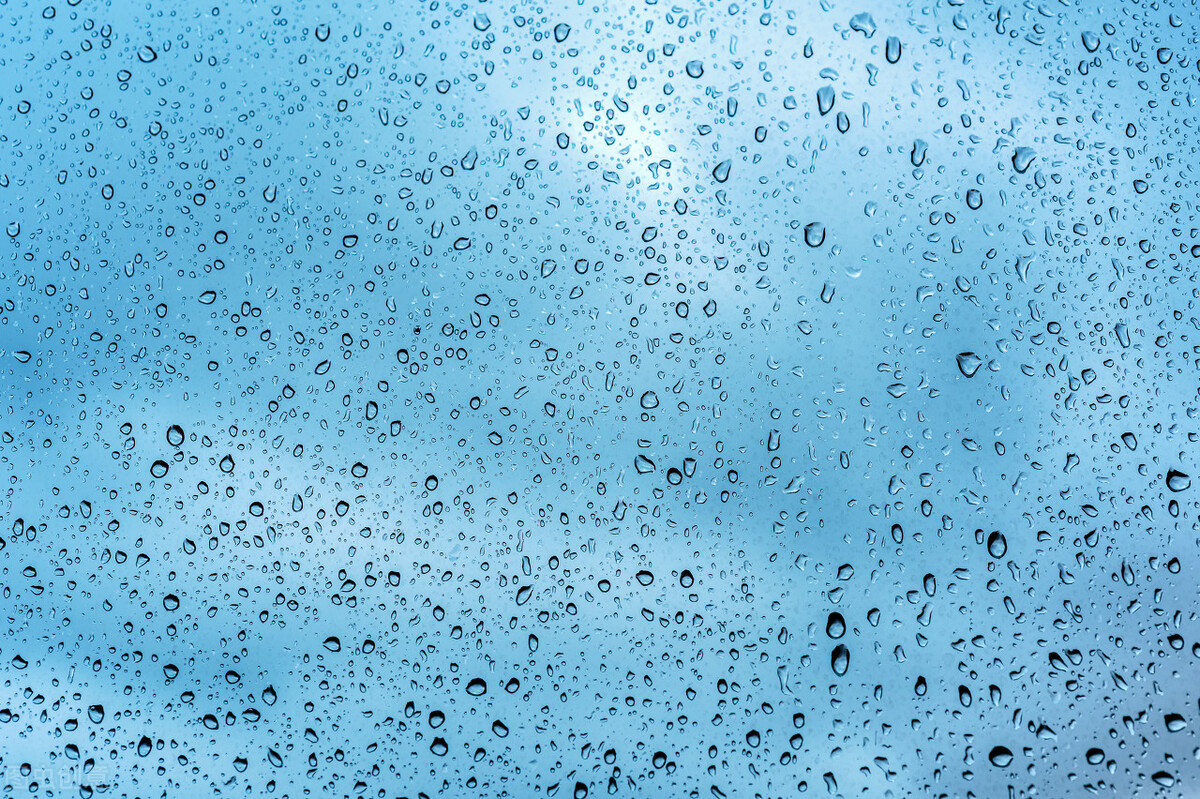 适合夏天的祛湿气茶,适合祛寒气祛湿气的茶