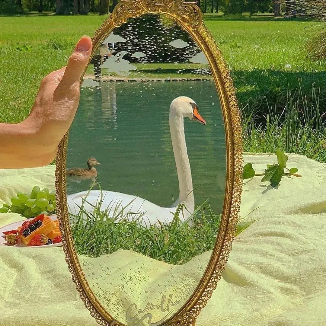 绿色背景图ins高级感小图,干净的背景图ins风冬日高清