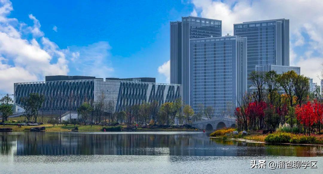 乘着大运会这缕“东风”，应该没有谁比东安湖还快