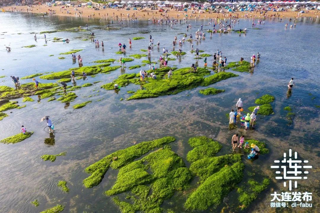 大连避暑旅游城市,旅游避暑大连