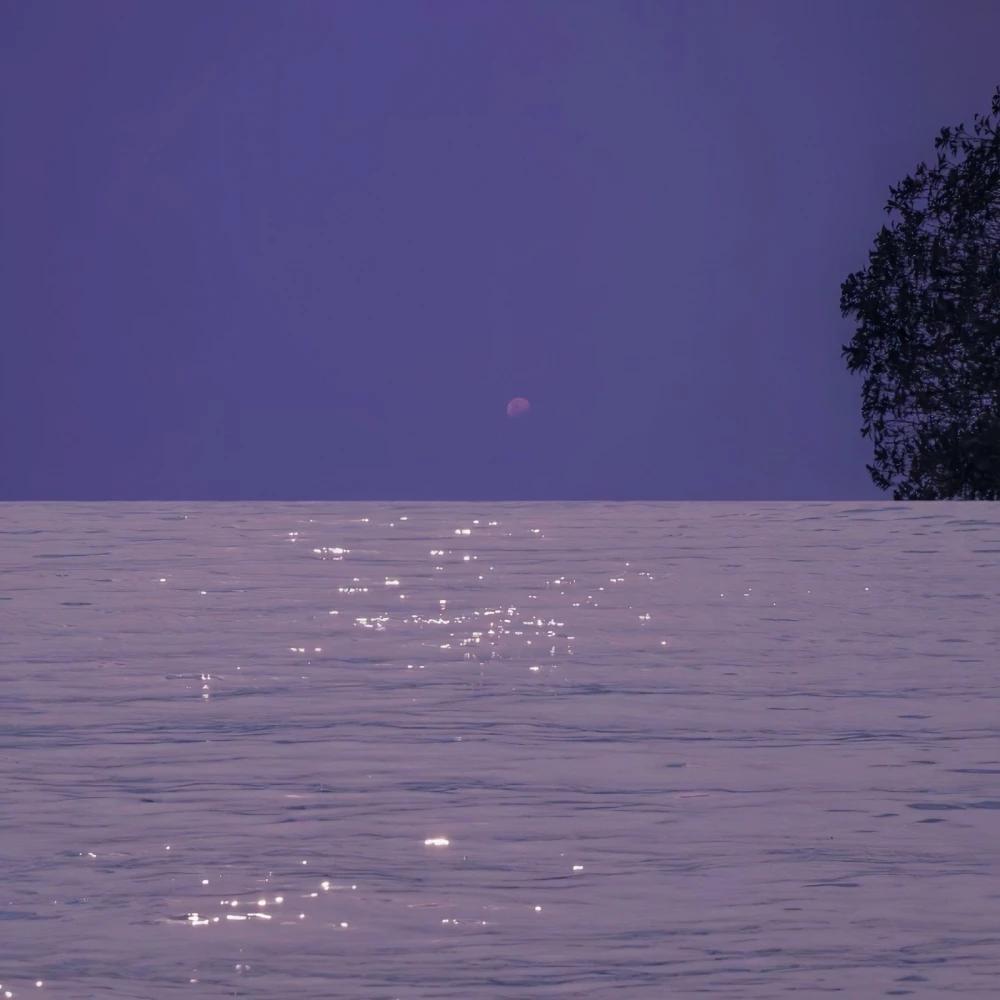 为啥女生不胖,为什么女生不胖还要减肥