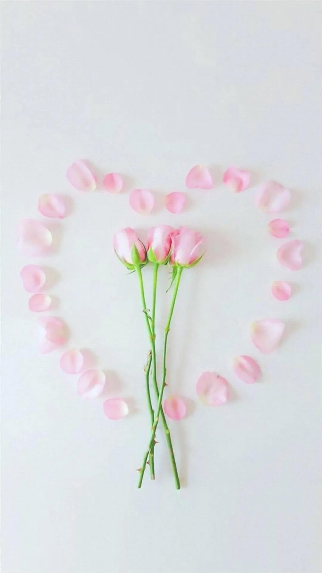 好看的的壁纸高清,好看的壁纸正方形图片