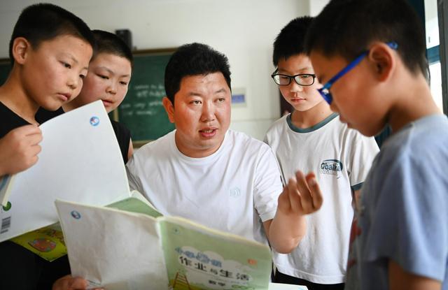 教案代写乱象,网络代写教案