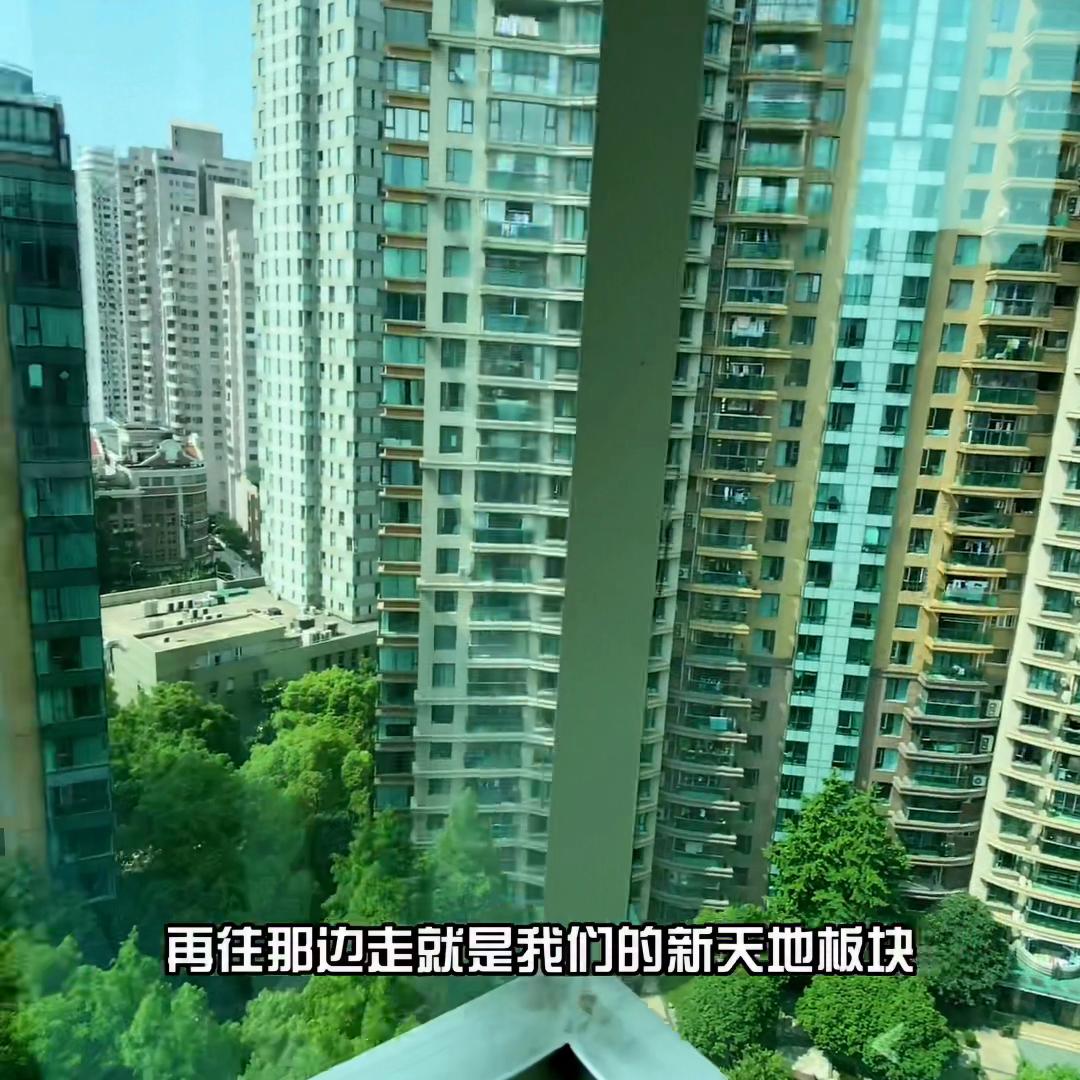 国际丽都城楼王,国际丽都城公寓