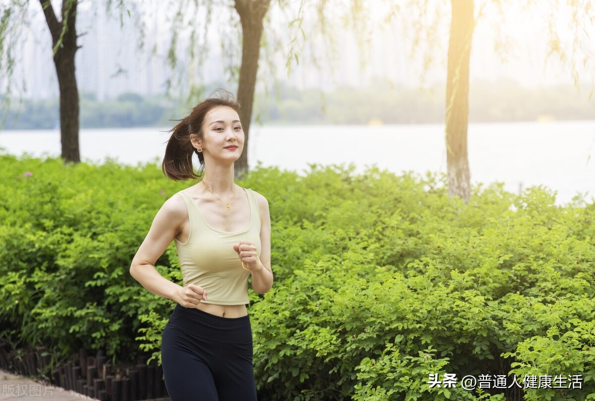 哪能获得免费的健身训练计划,从零开始的健身计划