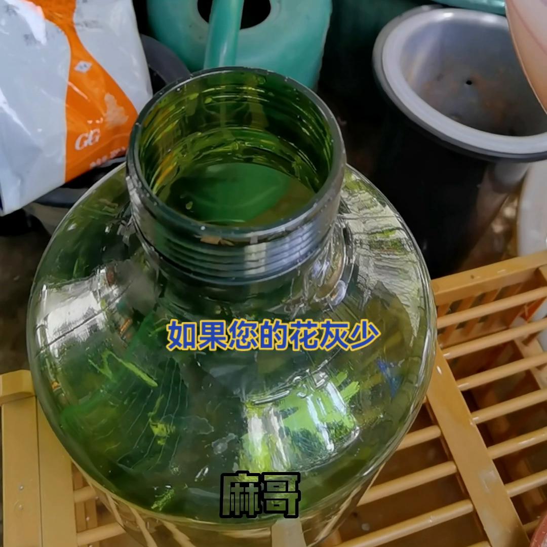 养花杀菌多菌灵,花卉怎样使用多菌灵杀菌