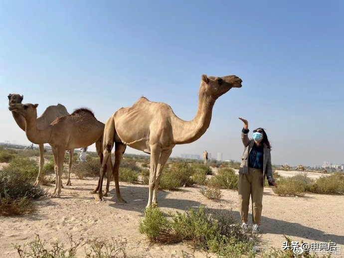 深圳打工仔辛酸史,深圳创业的血泪经历