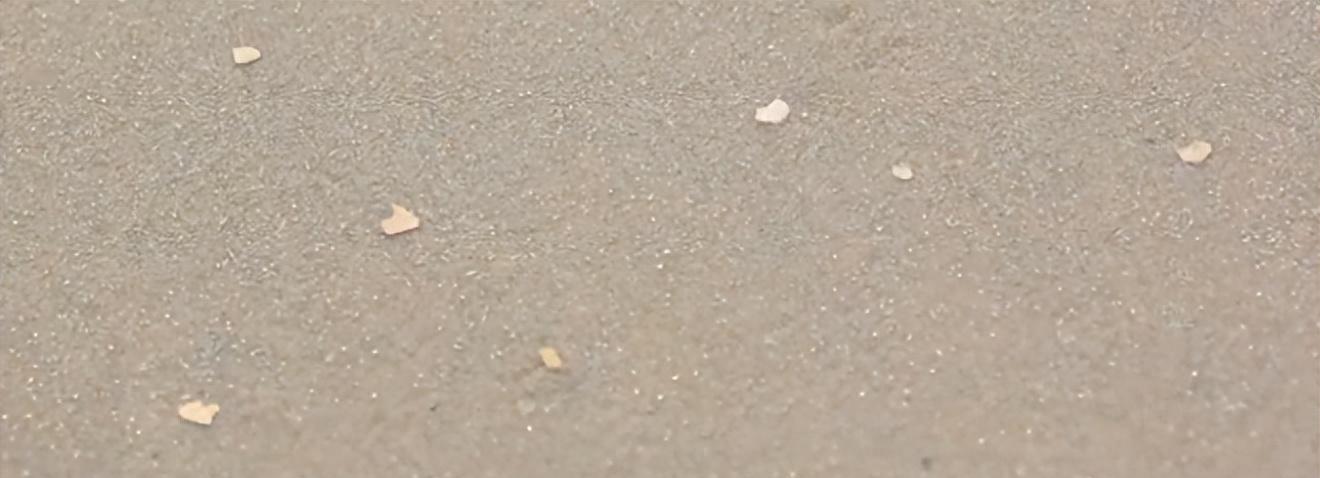 普法：福建海边出现大量金云母，渔民们纷纷前去捡拾，是否违法？