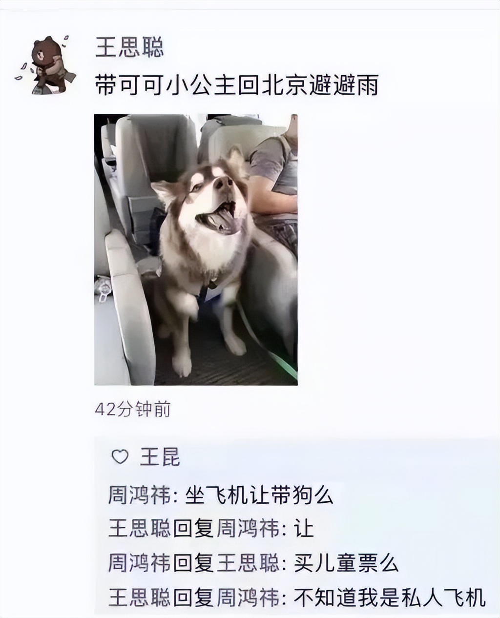 养猫两年你花了多少钱,养猫两年囤了一堆梳子