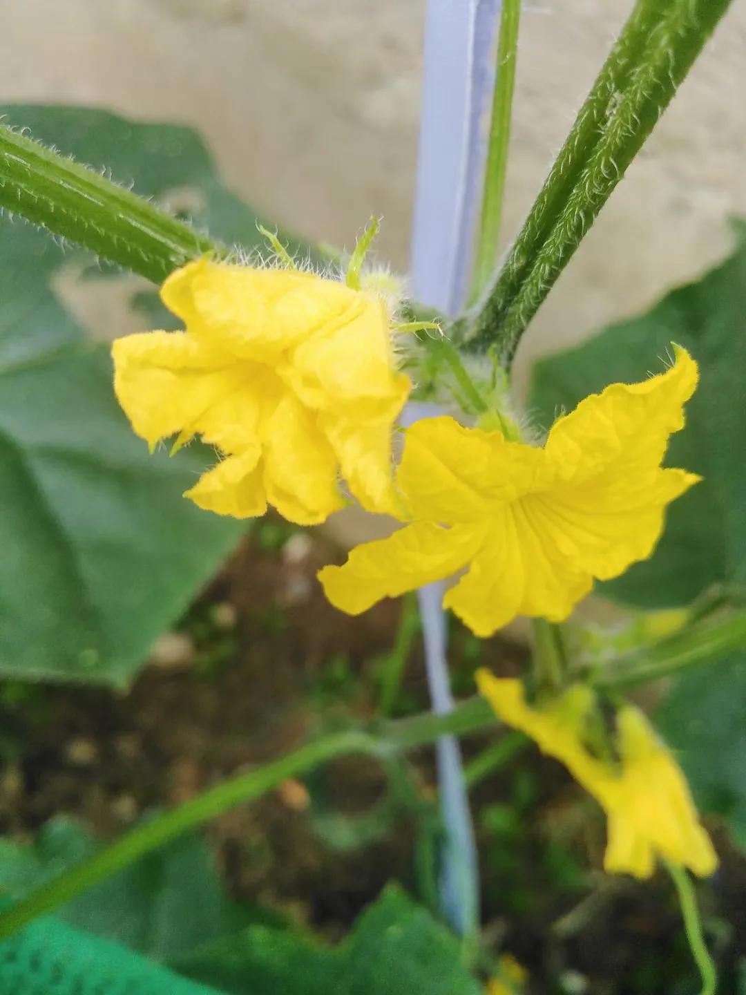 购买车库要交管理费合法吗,购买车库需要缴纳哪些税