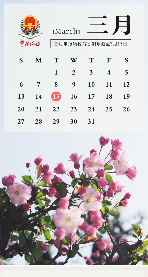 ukey税控盘和金税盘的区别,2020年11月金税盘抄税流程图