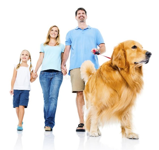 选择宠物实用且适用的几种小诀窍,不会养宠物的人该选哪种宠物