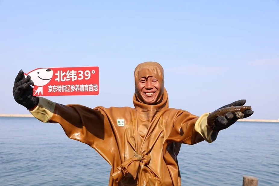 海参圈潜水员水下捞海参,深海捕捞海参完整版